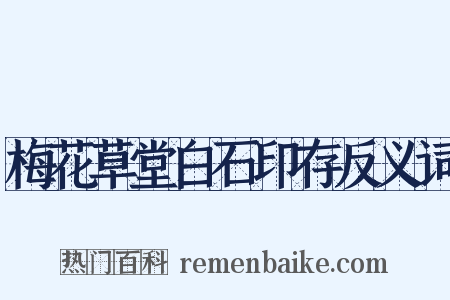 梅花草堂白石印存反义词是什么意思的图片